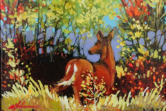 Whitetail Deer 8 X 10
