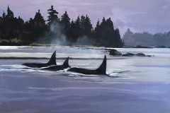 Orca-16x20