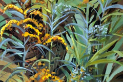 Queen-Annes-Lace-and-Golden-Rod-18x24-acrylic