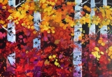 Colourful Poplars