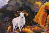 Dall Sheep 16 X 20